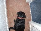 Thumbnail image of 2007_01200032.JPG