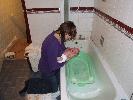 Thumbnail image of 2007_01200034.JPG