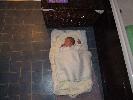 Thumbnail image of 2007_01200039.JPG