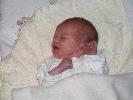 Thumbnail image of 2007_01200040.JPG