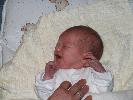 Thumbnail image of 2007_01200041.JPG