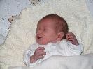 Thumbnail image of 2007_01200042.JPG
