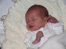Thumbnail image of 2007_01200043.JPG