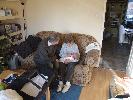 Thumbnail image of 2007_01220004.JPG