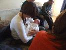 Thumbnail image of 2007_01220019.JPG