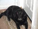 Thumbnail image of 2007_01240005.JPG