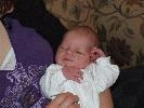 Thumbnail image of 2007_01240020.JPG