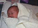 Thumbnail image of 2007_01270006.JPG