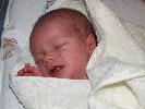 Thumbnail image of 2007_01270007.JPG