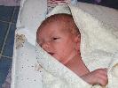 Thumbnail image of 2007_01270008.JPG