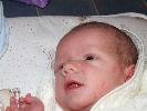 Thumbnail image of 2007_01270009.JPG