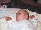 Thumbnail image of 2007_01270010.JPG