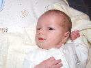Thumbnail image of 2007_01270011.JPG