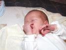 Thumbnail image of 2007_01270012.JPG