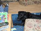 Thumbnail image of 2007_01270053.JPG
