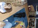 Thumbnail image of 2007_01270054.JPG