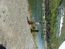 Thumbnail image of DSCF0031.JPG