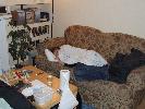 Thumbnail image of 2007_02040022.JPG