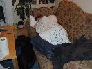 Thumbnail image of 2007_02040023.JPG