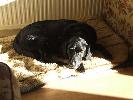 Thumbnail image of 2007_02040027.JPG