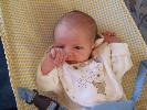 Thumbnail image of 2007_02040031.JPG