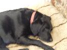 Thumbnail image of 2007_02040037.JPG