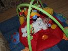 Thumbnail image of 2007_02040042.JPG