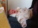 Thumbnail image of 2007_02040060.JPG