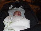 Thumbnail image of 2007_02040065.JPG