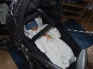 Thumbnail image of 2007_03030001.JPG