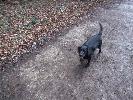 Thumbnail image of 2007_03030031.JPG