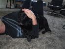 Thumbnail image of 2007_03200018.JPG