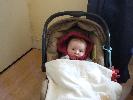 Thumbnail image of 2007_03200073.JPG