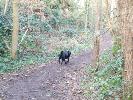 Thumbnail image of 2007_03310090.JPG
