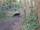 Thumbnail image of 2007_03310091.JPG