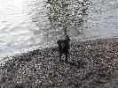 Thumbnail image of 2007_03310095.JPG