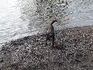 Thumbnail image of 2007_03310096.JPG