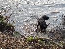 Thumbnail image of 2007_03310097.JPG