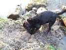 Thumbnail image of 2007_03310108.JPG