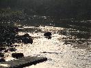 Thumbnail image of 2007_03310113.JPG