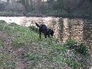 Thumbnail image of 2007_03310116.JPG