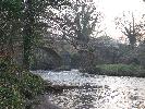 Thumbnail image of 2007_03310117.JPG