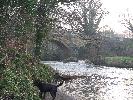Thumbnail image of 2007_03310118.JPG