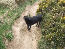 Thumbnail image of 2007_03310133.JPG
