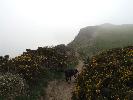 Thumbnail image of 2007_03310134.JPG
