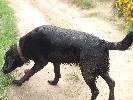 Thumbnail image of 2007_03310135.JPG
