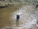 Thumbnail image of 2007_03310139.JPG