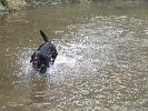 Thumbnail image of 2007_03310140.JPG