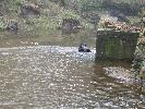 Thumbnail image of 2007_03310141.JPG