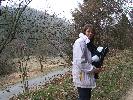 Thumbnail image of 2007_03310144.JPG